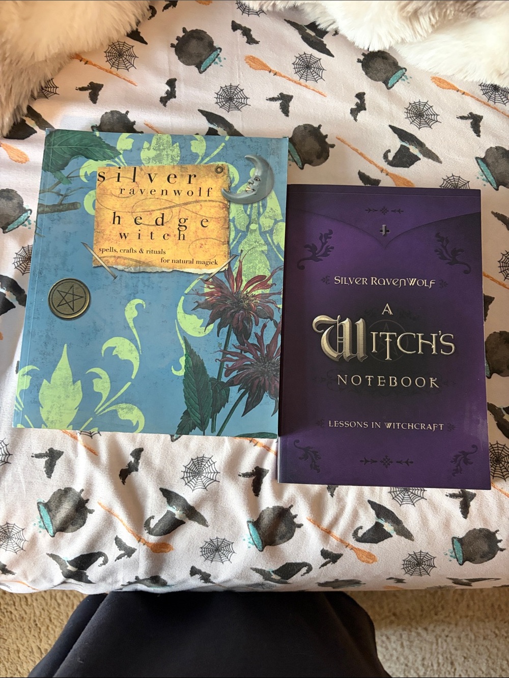 Hedge Witch and A Witches Notebook 2 book set by Silver Ravenwolf